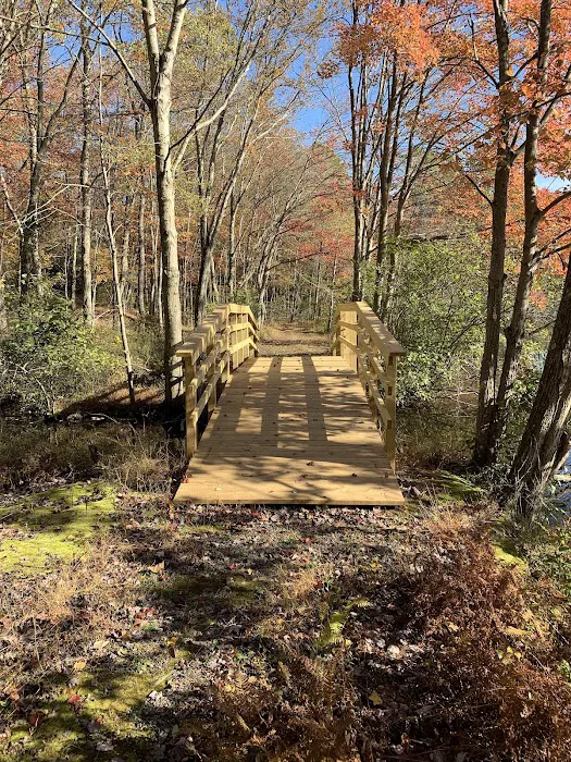 Salvation Army Youth Camp Picture 8