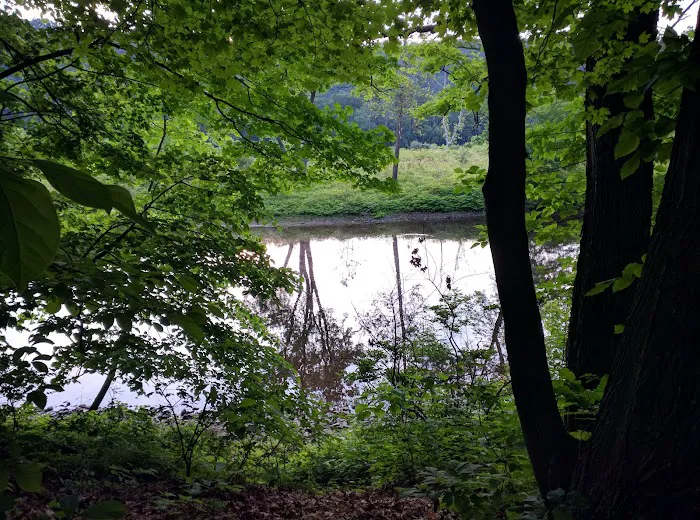 Driftstone Campground Picture 8