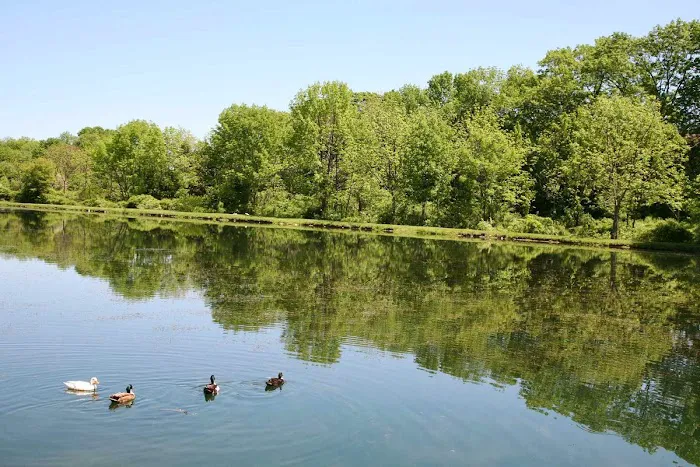 Triplebrook Campground Picture 8