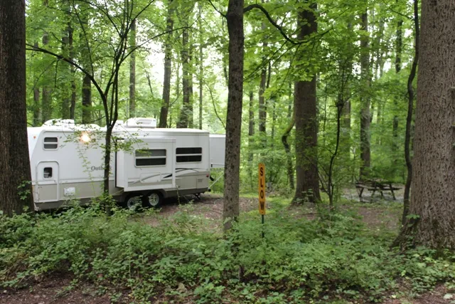 Mountainview Campground Picture 5