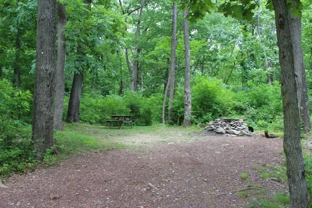 Mountainview Campground Picture 3