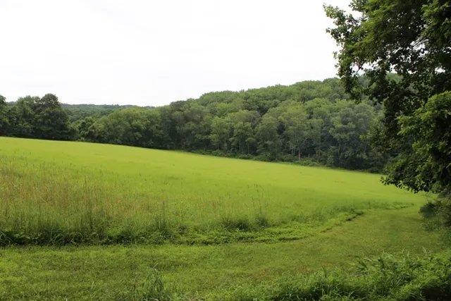 Mountainview Campground Picture 7