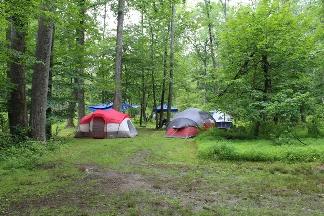 Mountainview Campground Picture 2