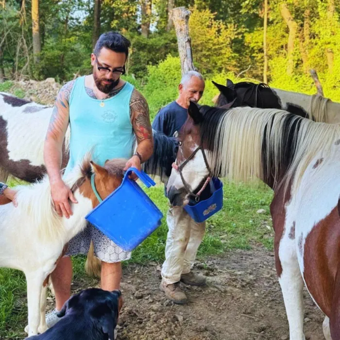 DesmadreHouse Picture 1