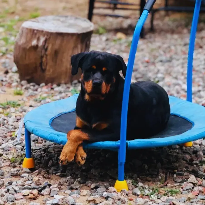 DesmadreHouse Picture 8