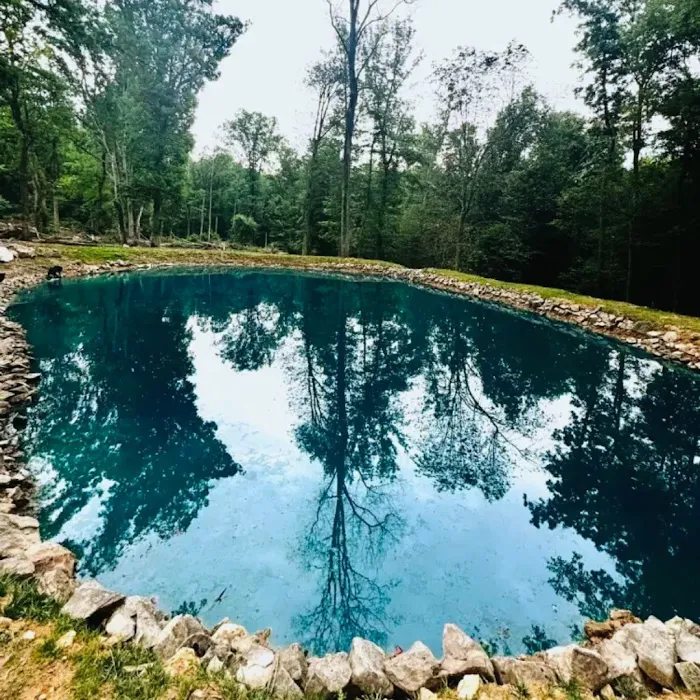 DesmadreHouse Picture 7