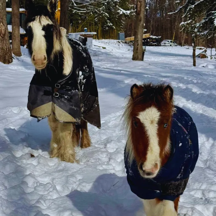 DesmadreHouse Picture 6