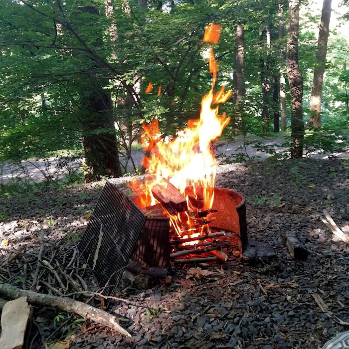 Dogwood Haven Family Campground Picture 10