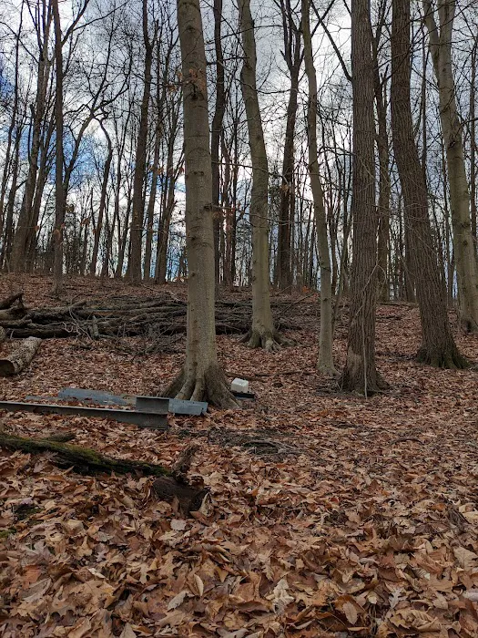 Dogwood Haven Family Campground Picture 5