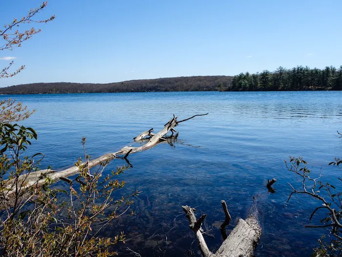 Cedar Pond Campground Picture 2