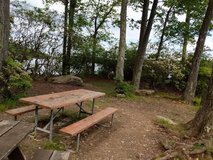 Cedar Pond Campground Picture 8