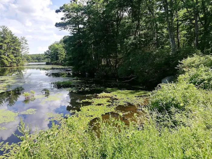 Cedar Pond Campground Picture 10
