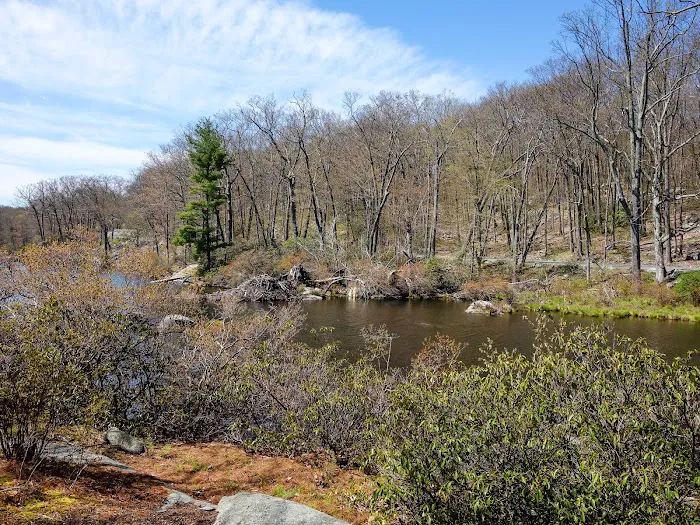 Cedar Pond Campground Picture 4