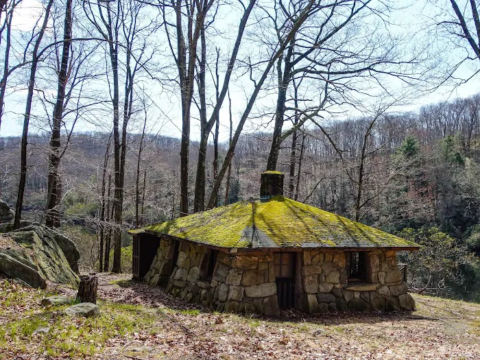 Boys Club of New York Picture 5