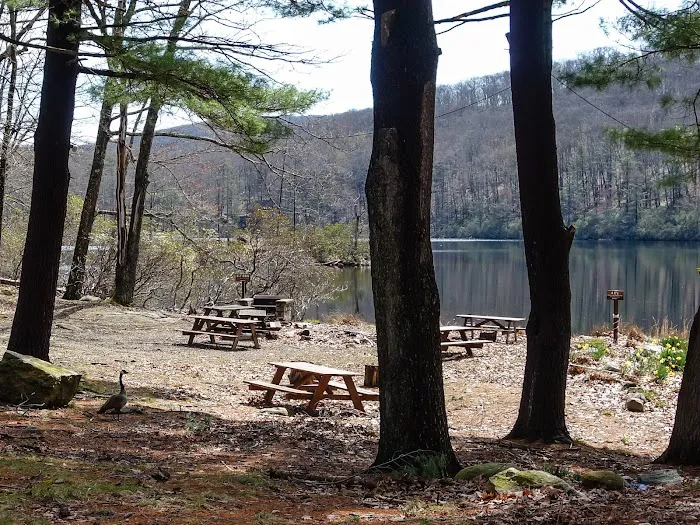 Boys Club of New York Picture 1