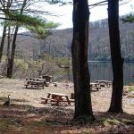 Boys Club of New York