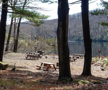 Boys Club of New York