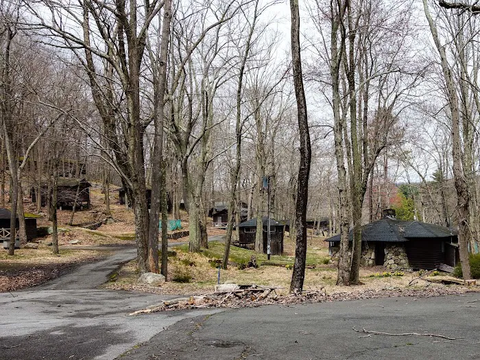 Boys Club of New York Picture 10