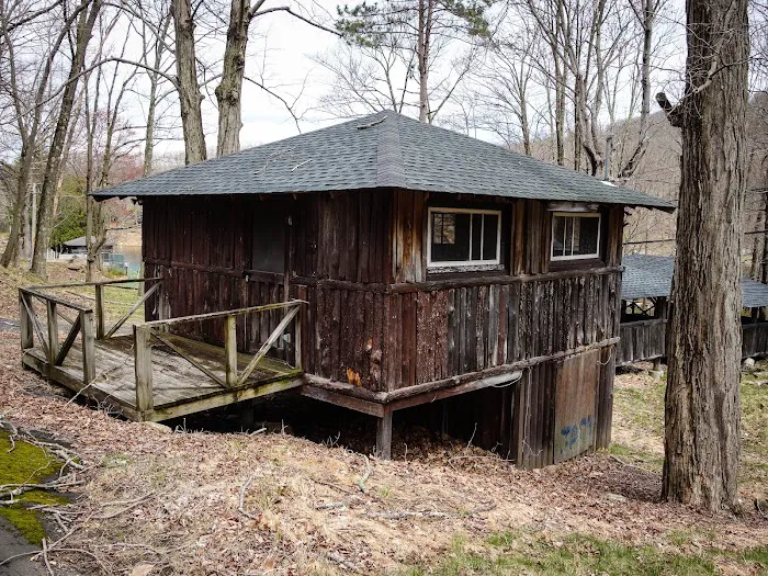 Boys Club of New York Picture 6