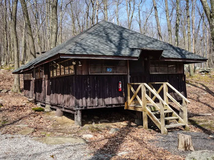 Boys Club of New York Picture 8