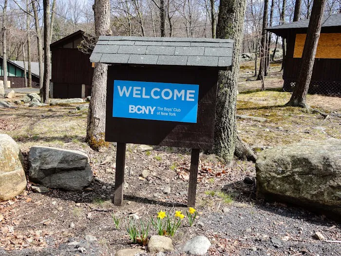 Boys Club of New York Picture 2