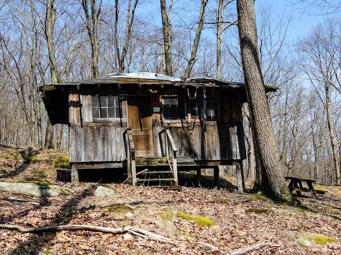 Boys Club of New York Picture 4