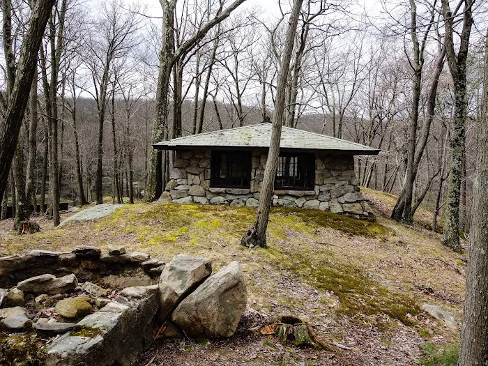 Boys Club of New York Picture 7