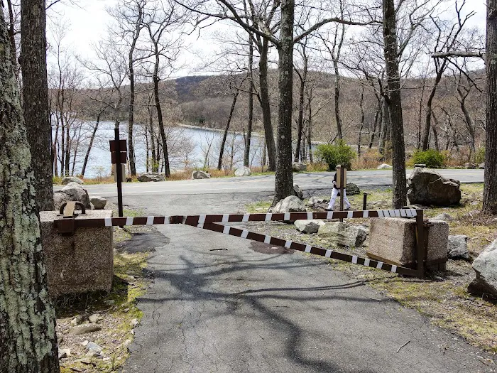 Tiorati Plateau Campground (Reservation Required) Picture 1