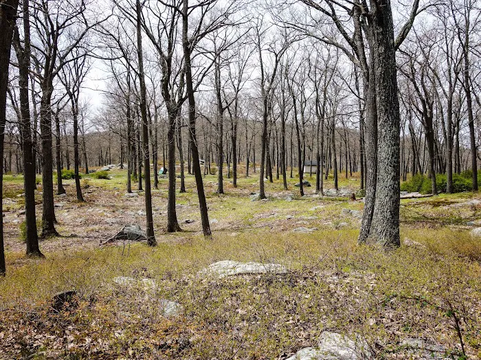 Tiorati Plateau Campground (Reservation Required) Picture 7