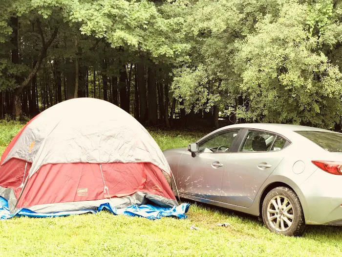 Black Bear RV Park Picture 3