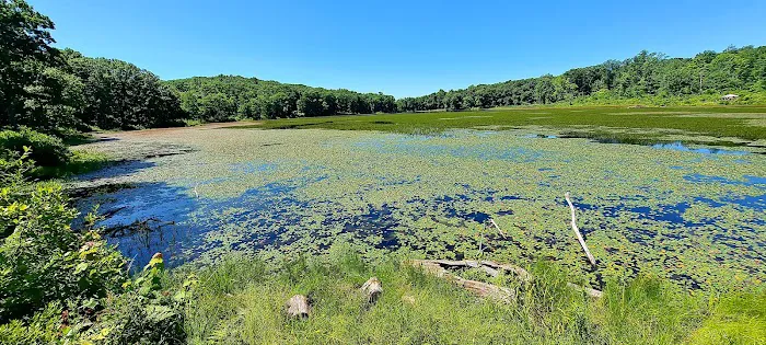 Sawmill Lake Campground Picture 3