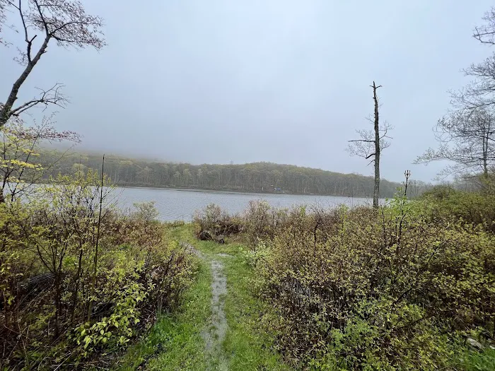 Sawmill Lake Campground Picture 6