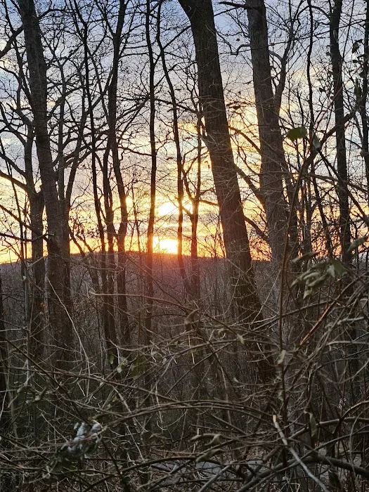 Stokes Forest - shotwell Lean-tos Picture 4