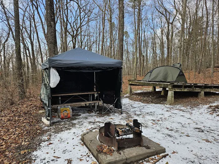 Stokes Forest - shotwell Lean-tos Picture 9