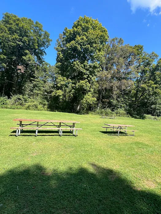 Haskin's Group Campsites Picture 4