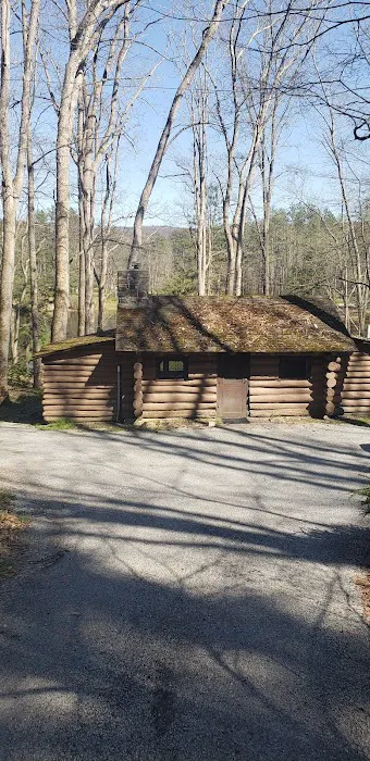 Stokes state forest- cabins Picture 4
