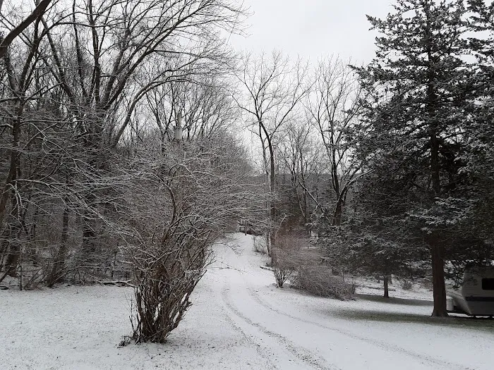 Bear Creek Campgrounds Picture 3