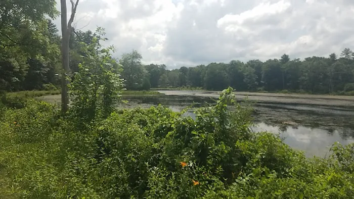 Bear Creek Campgrounds Picture 7