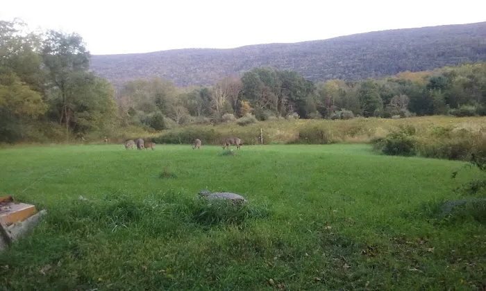 Bear Creek Campgrounds Picture 2