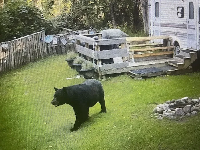 Bear Creek Campgrounds Picture 10