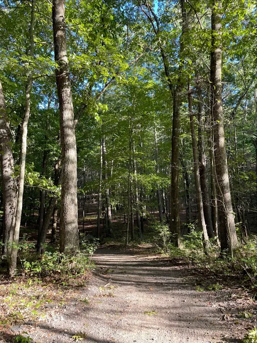 Mountain Top RV Park Picture 3