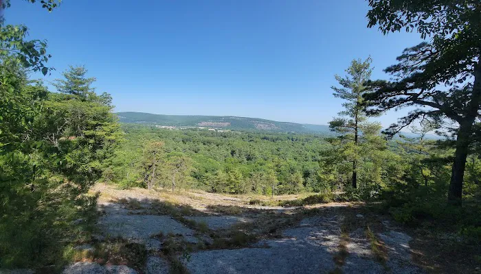 Mountain Top RV Park Picture 7