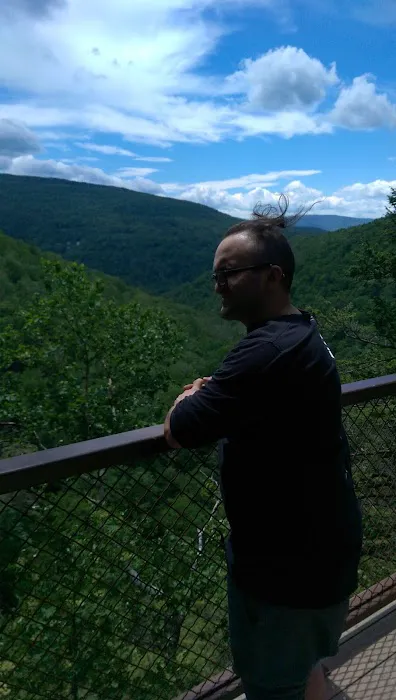 Tyler's barn yard Picture 1