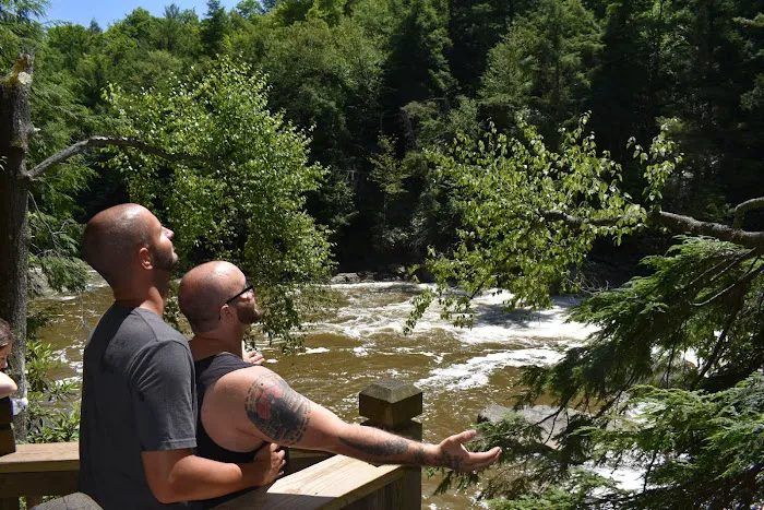 Tyler's barn yard Picture 7