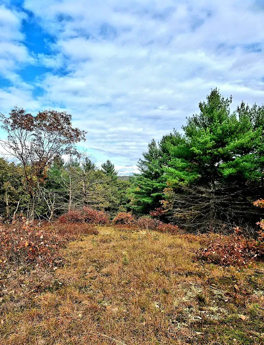 Port Jervis Elks Brox Campground Picture 4
