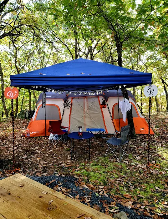 Port Jervis Elks Brox Campground Picture 2