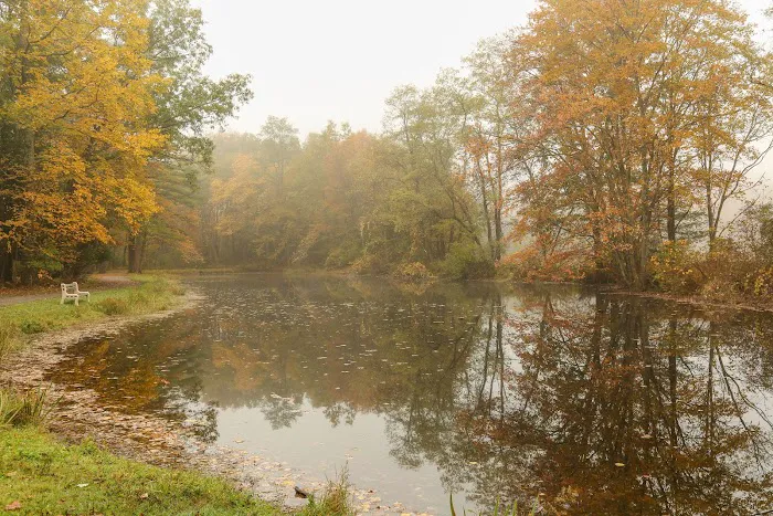 Neversink River Resort Picture 7