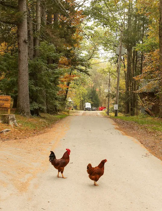 Neversink River Resort Picture 4