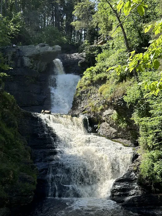 Dingmans Campground Picture 5