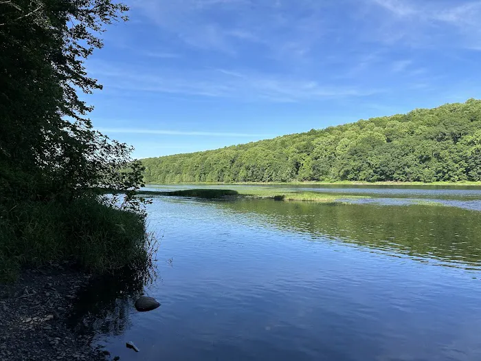 Dingmans Campground Picture 3